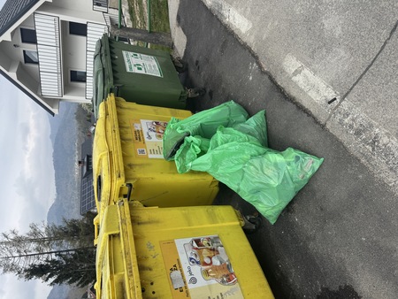 Čistilna akcija 2026 Vaški odbor Moste 2