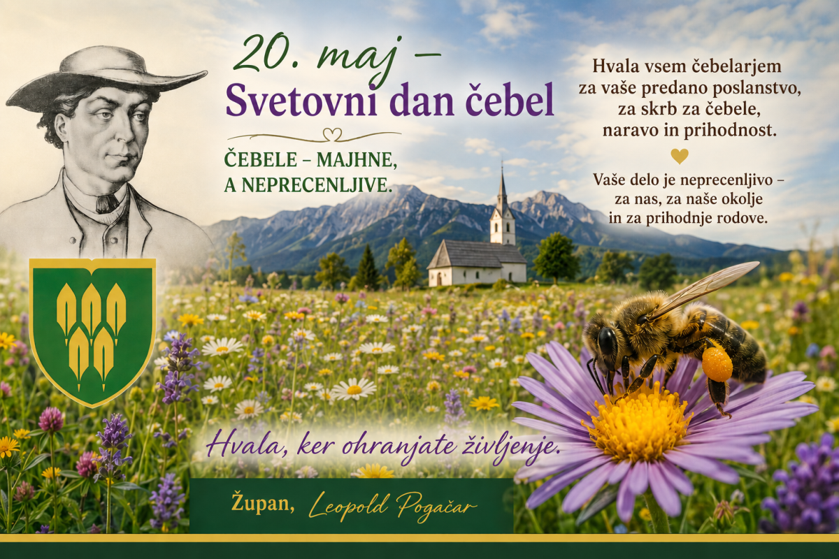 čestitka on SDČ, tekst in slike